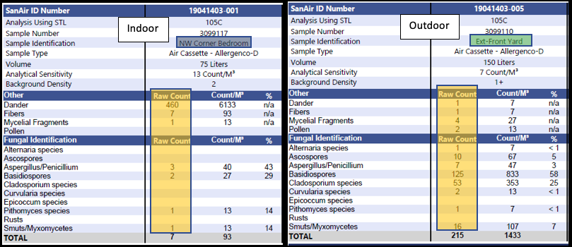 A Guide to Interpreting Mold Test Results - GreenWorks